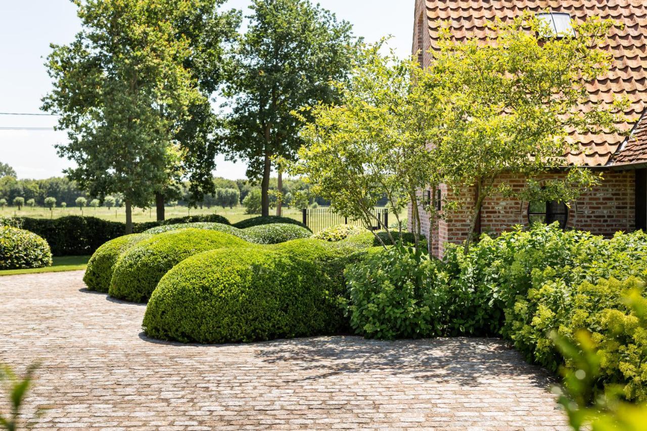 Hoeve Den Akker - Luxueuze Vakantiewoningen Met Privetuinen En Alpaca'S Nabij Brugge, Damme, Knokke, Sluis En Cadzand Exterior foto