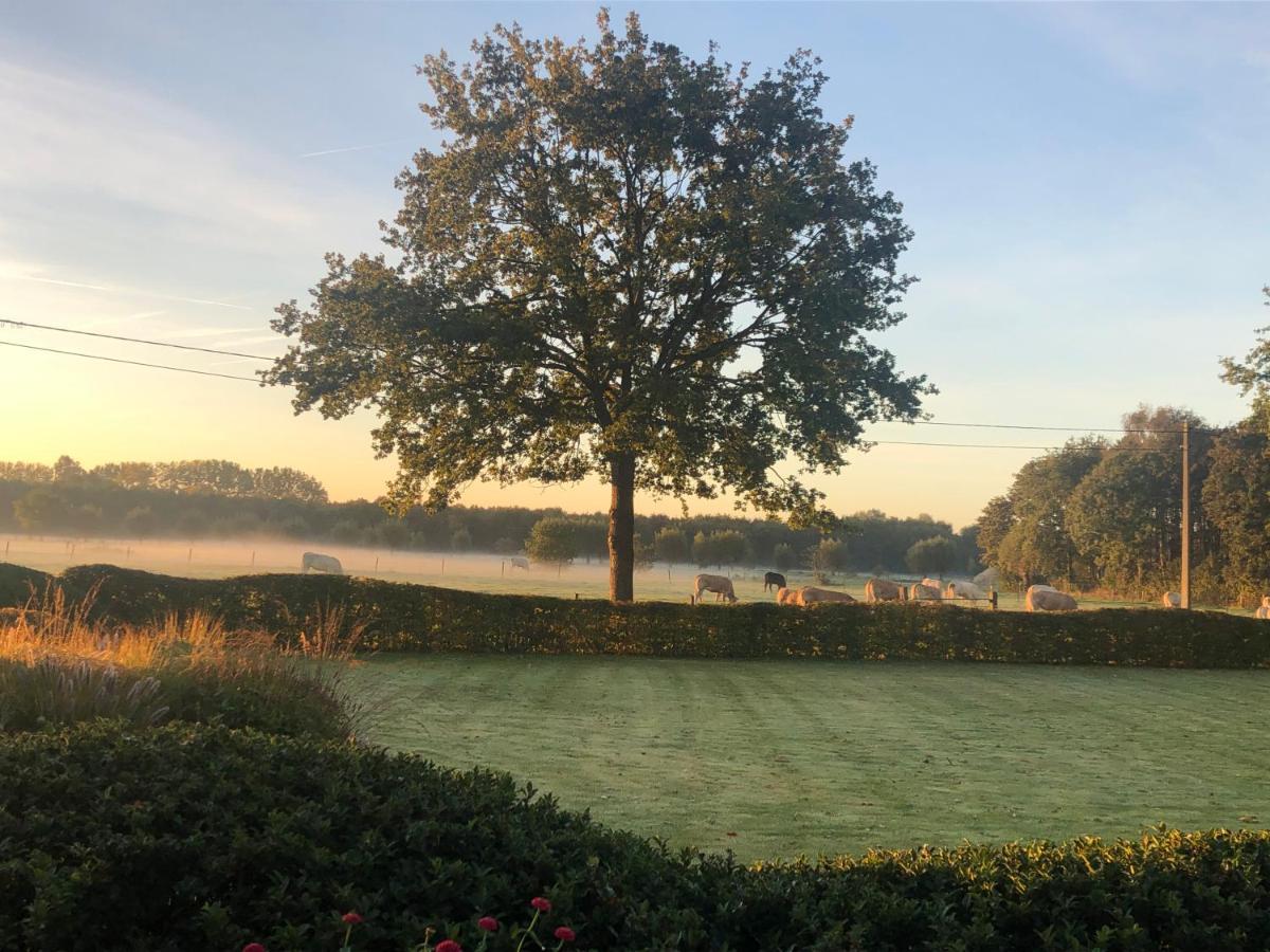 Hoeve Den Akker - Luxueuze Vakantiewoningen Met Privetuinen En Alpaca'S Nabij Brugge, Damme, Knokke, Sluis En Cadzand Exterior foto