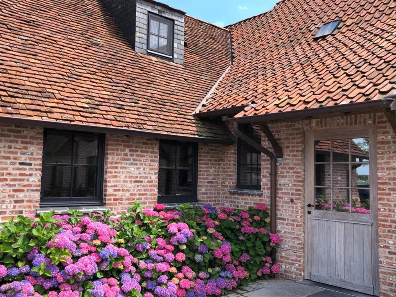 Hoeve Den Akker - Luxueuze Vakantiewoningen Met Privetuinen En Alpaca'S Nabij Brugge, Damme, Knokke, Sluis En Cadzand Exterior foto