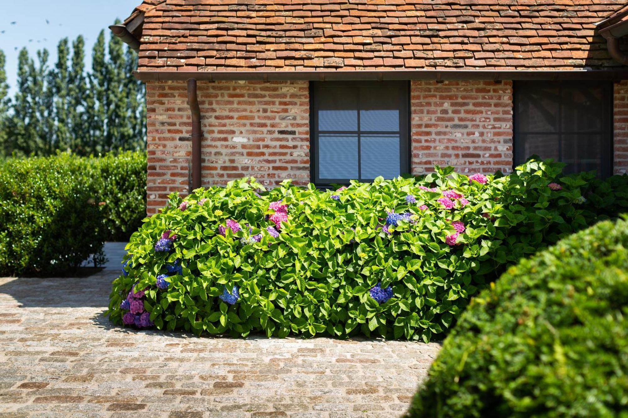 Hoeve Den Akker - Luxueuze Vakantiewoningen Met Privetuinen En Alpaca'S Nabij Brugge, Damme, Knokke, Sluis En Cadzand Exterior foto