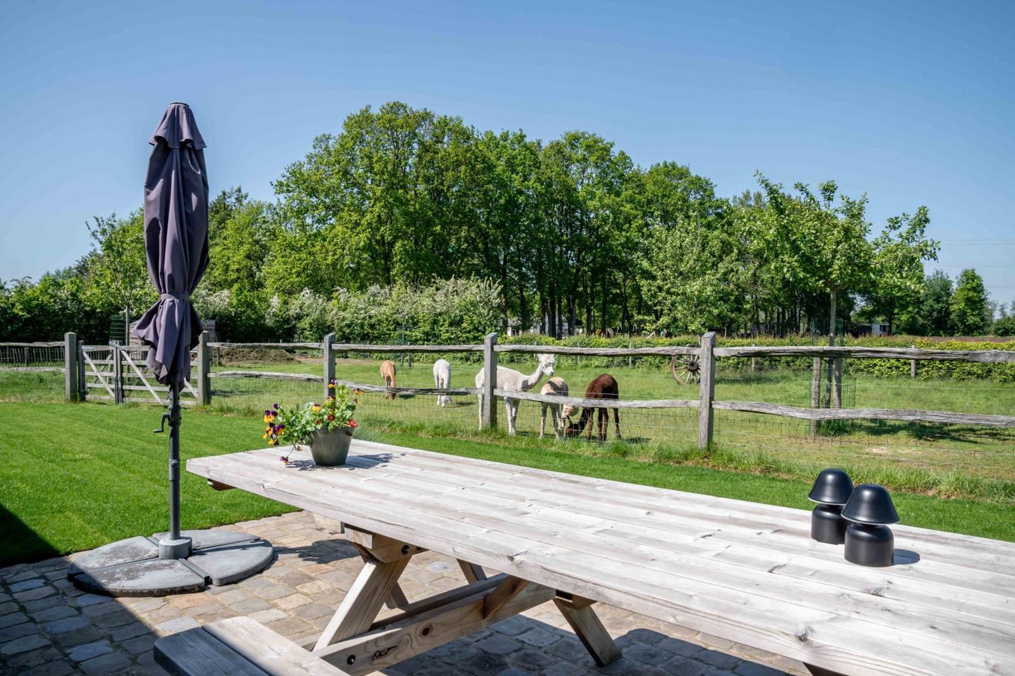 Hoeve Den Akker - Luxueuze Vakantiewoningen Met Privetuinen En Alpaca'S Nabij Brugge, Damme, Knokke, Sluis En Cadzand Exterior foto