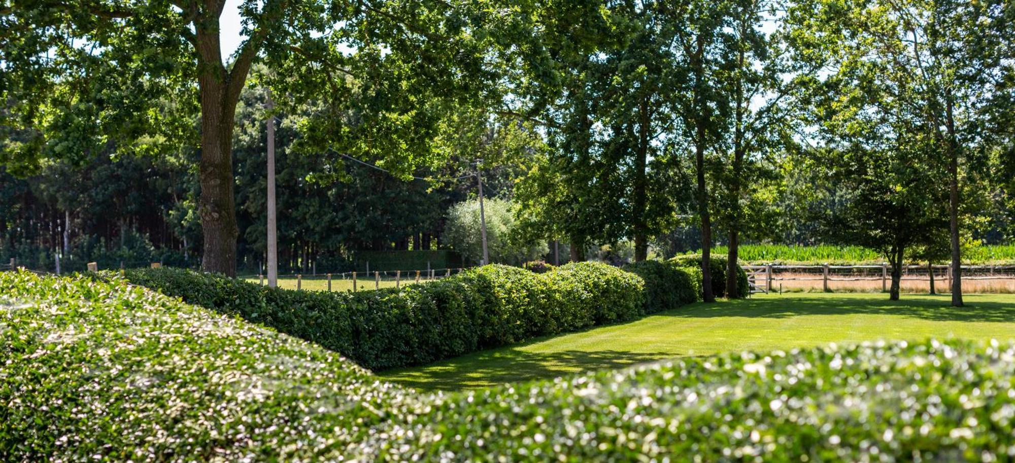 Hoeve Den Akker - Luxueuze Vakantiewoningen Met Privetuinen En Alpaca'S Nabij Brugge, Damme, Knokke, Sluis En Cadzand Exterior foto